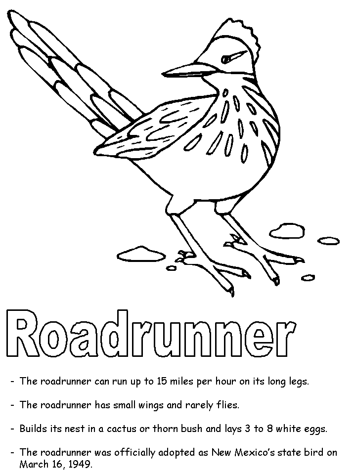Printable Pix Of Roadrunners