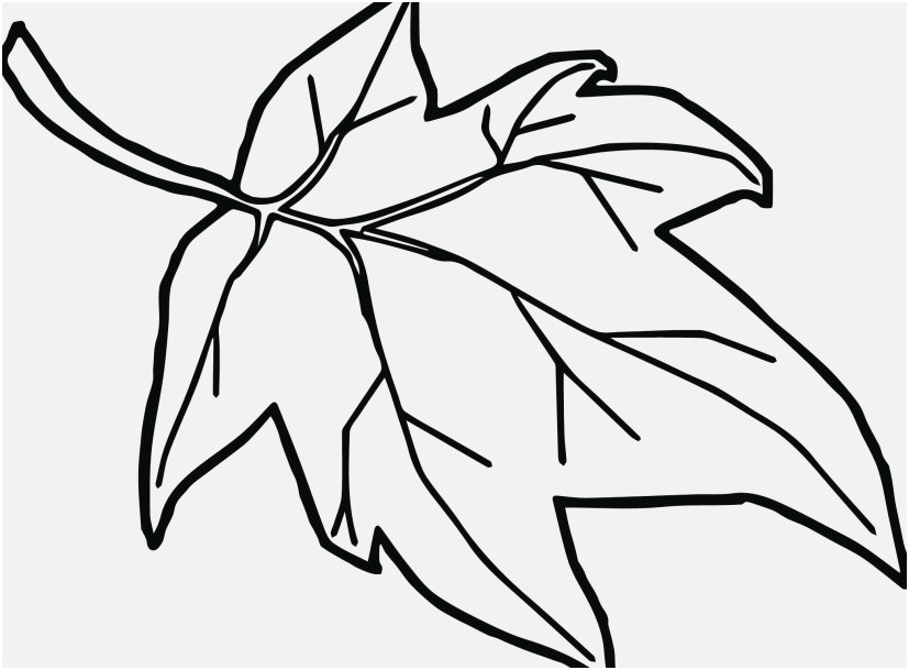 Coloring Pages oranges Concept orange Coloring Page Blossom ...
