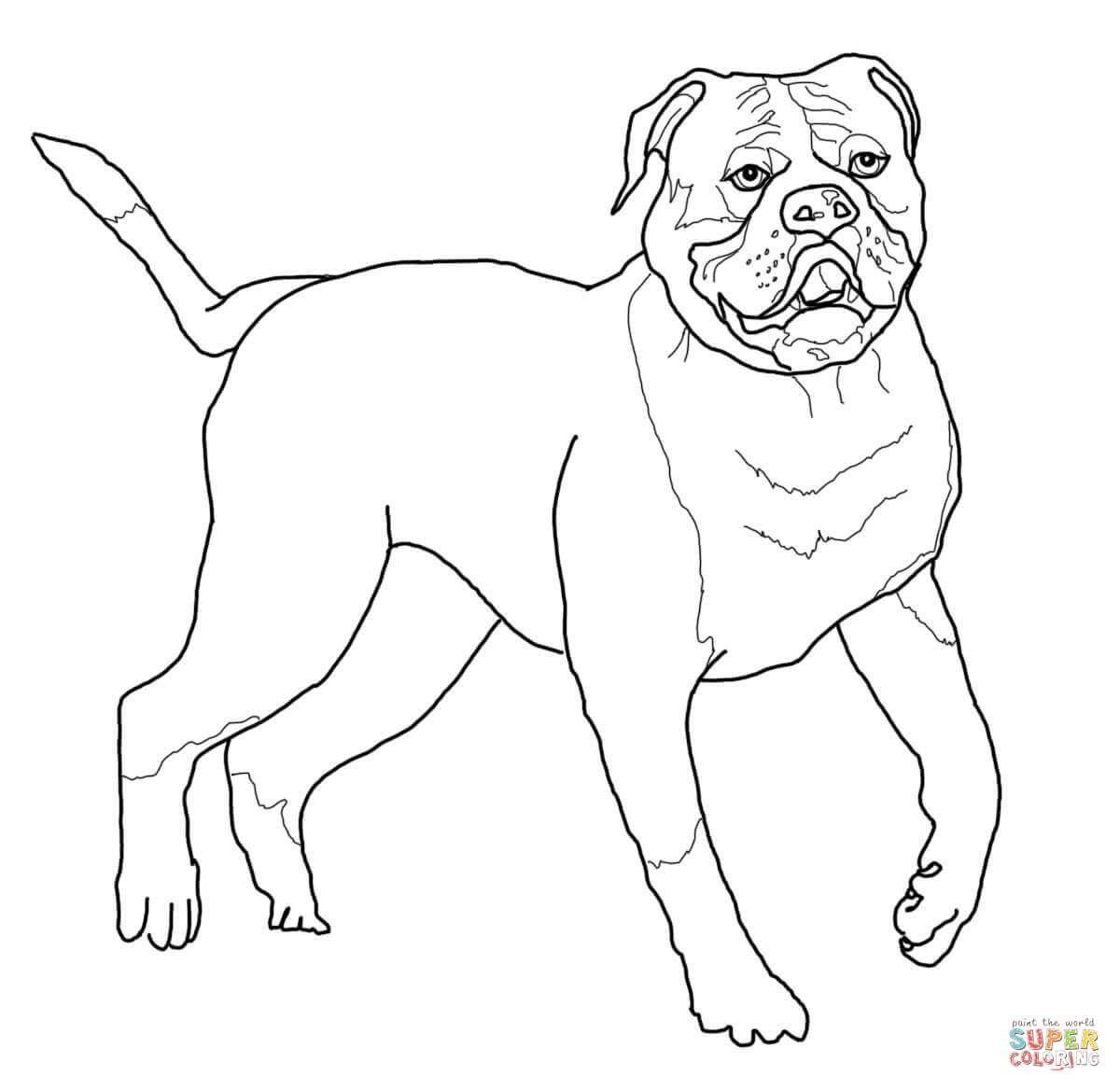 French Bulldog coloring page | Free Printable Coloring Pages