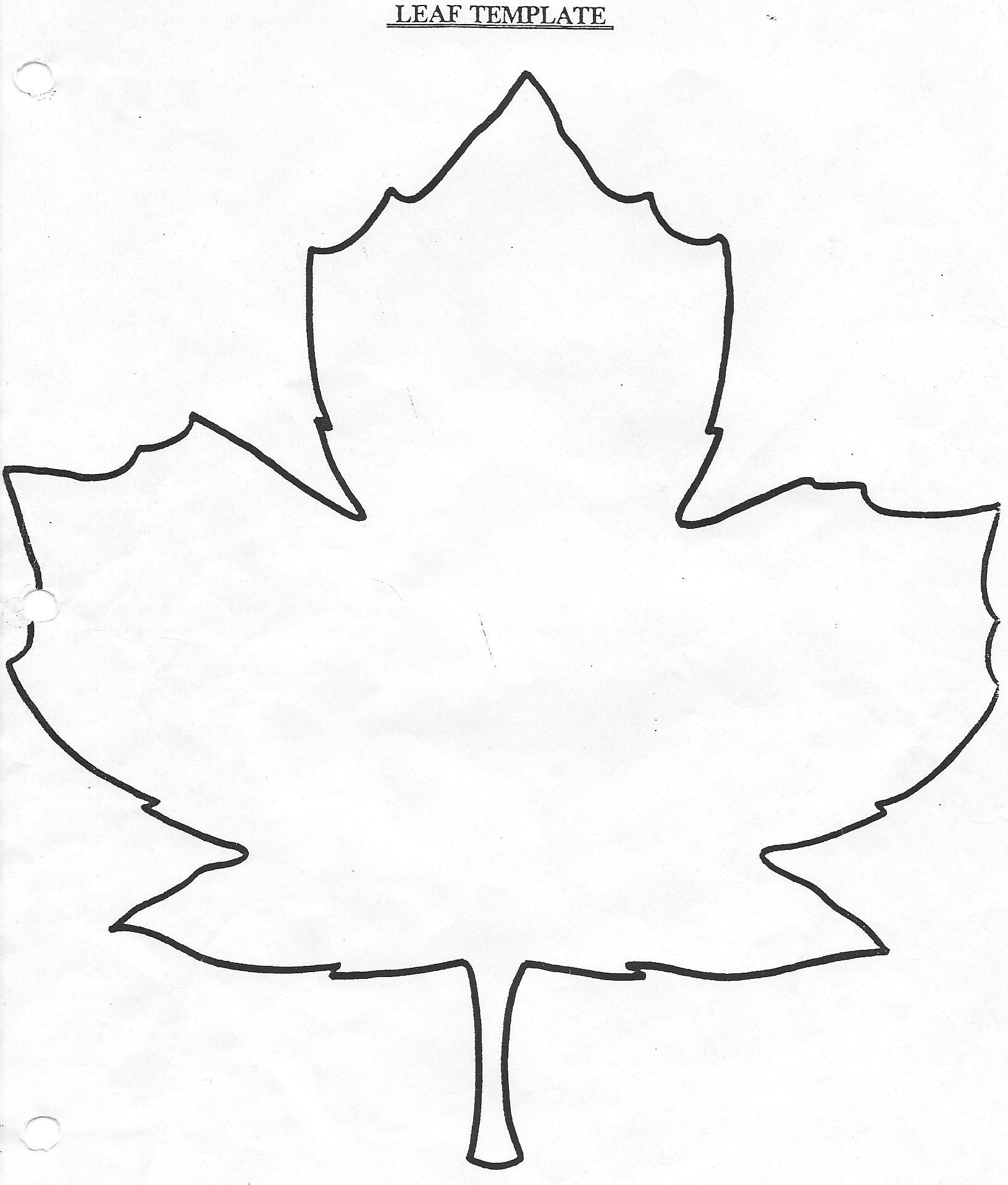 Large Leaf Template Coloring Home
