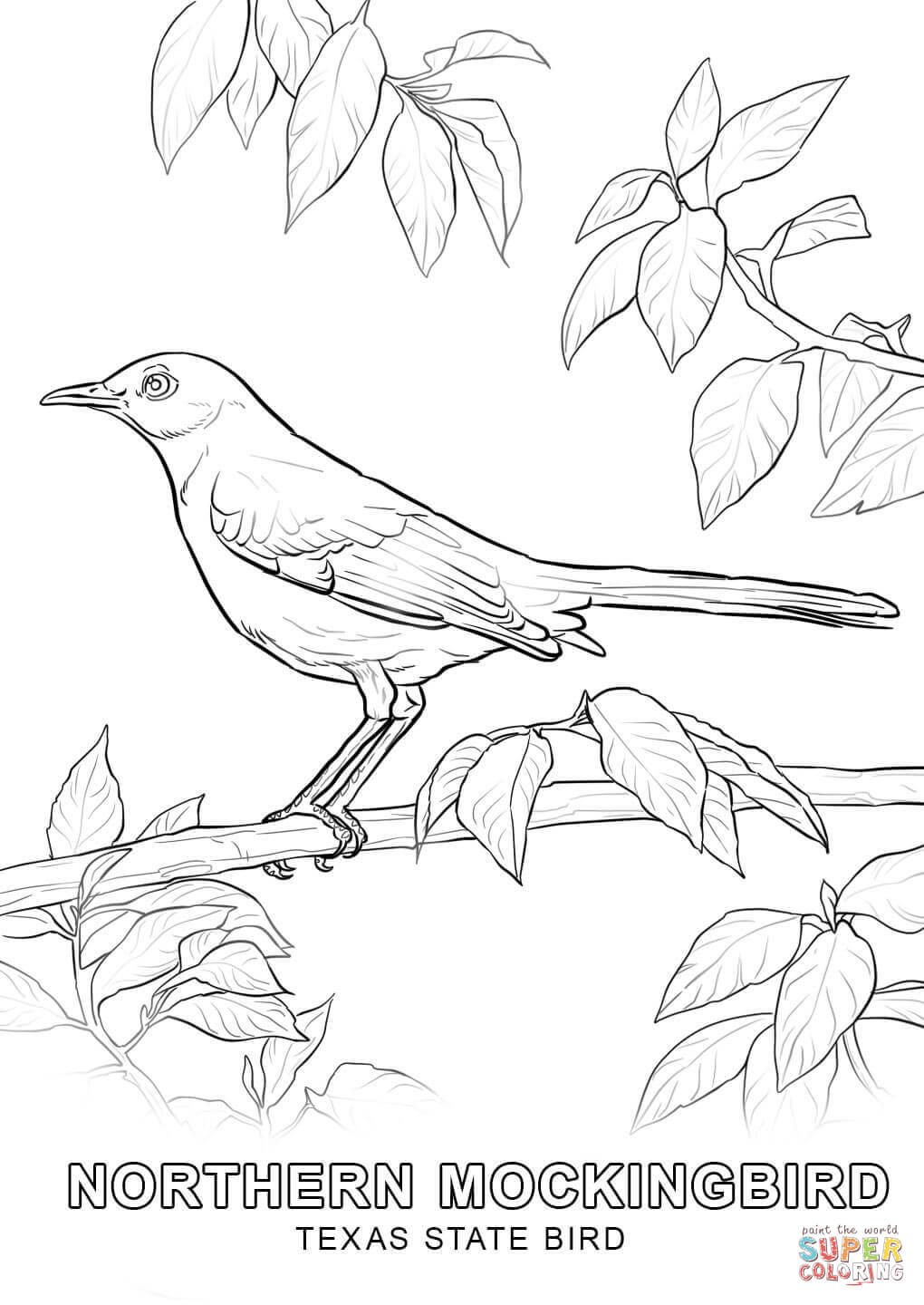 Texas State Bird coloring page