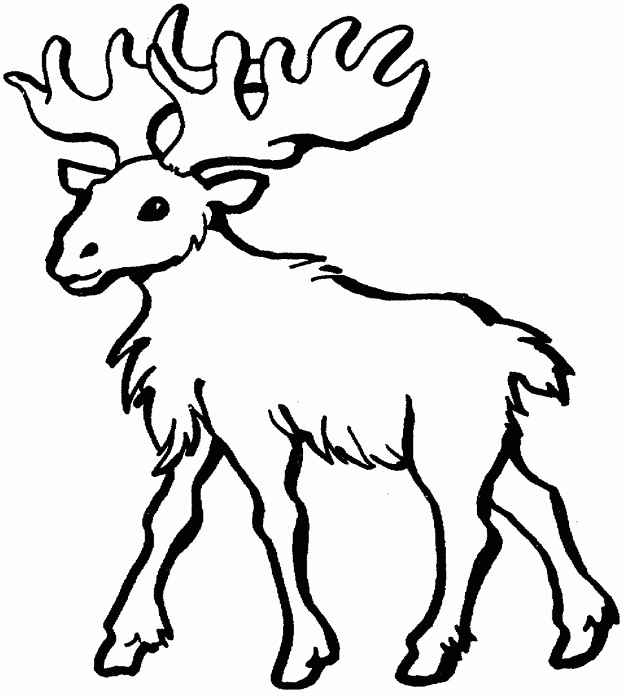 Printable Moose Coloring Pages | Coloring Me