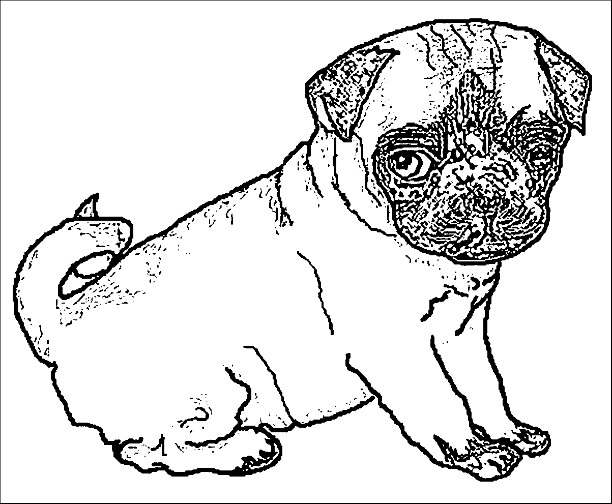 Pug Puppy Sketch Puppy Dog Coloring Page | Wecoloringpage