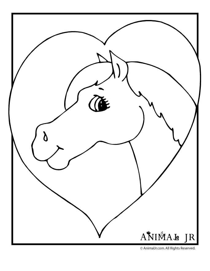 Horse Coloring Pages | Animal Jr.