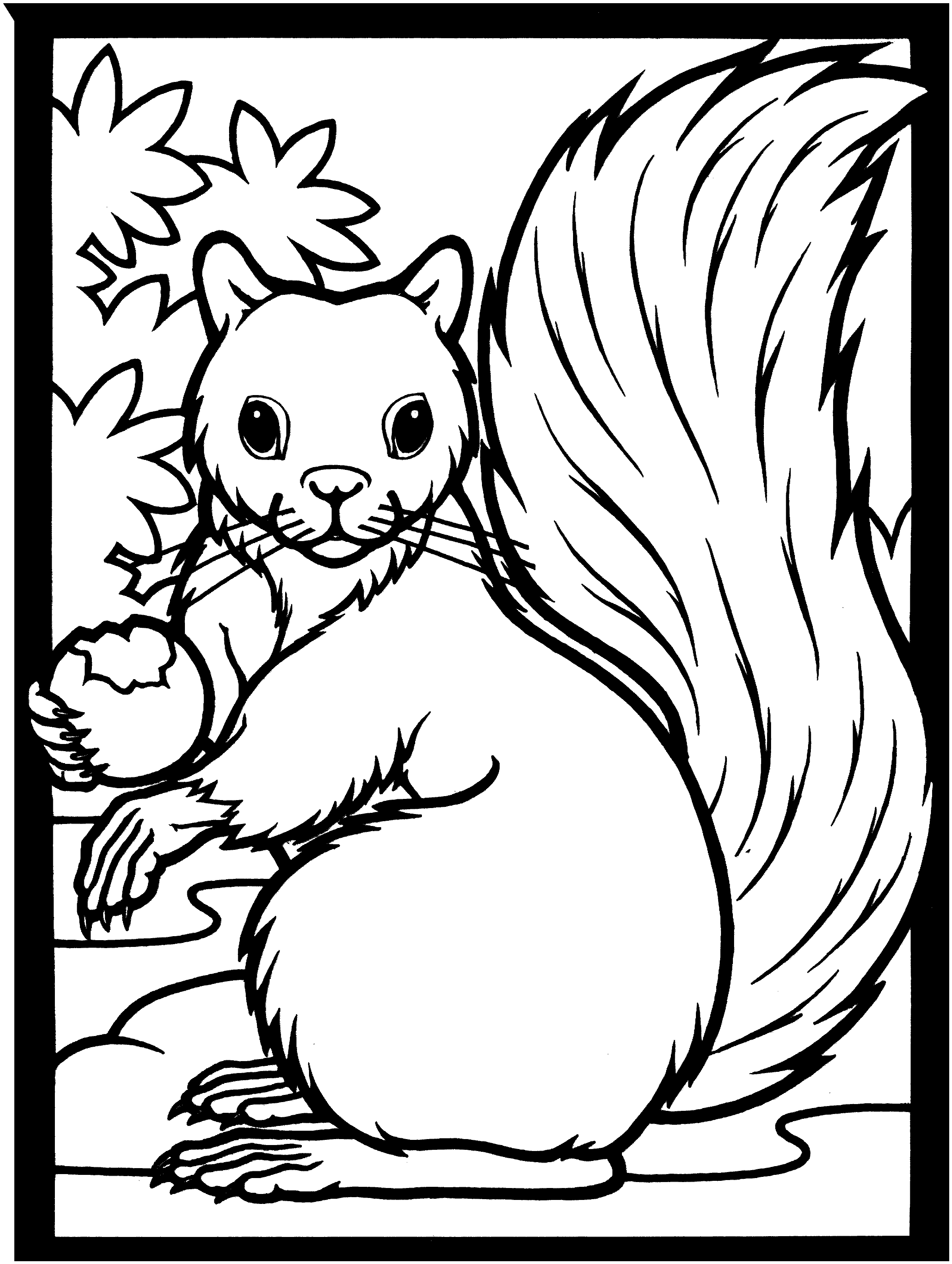 Coloring Pages Flying Squirrel Coloring Pages Squirrel Coloring ...