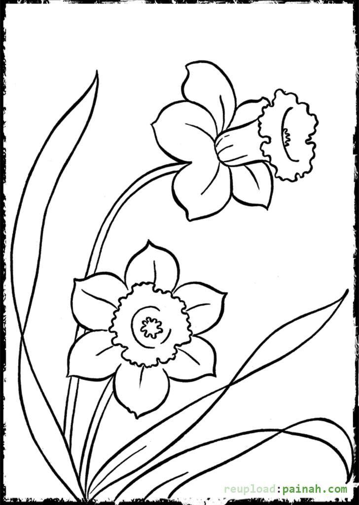 Coloring Pages For Girls Easy - Coloring Home