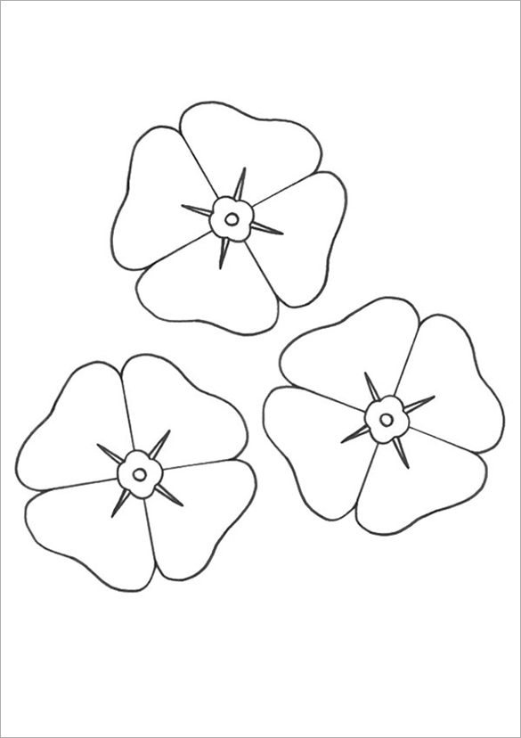 Coloring Pages Poppy Flower - Coloring Home