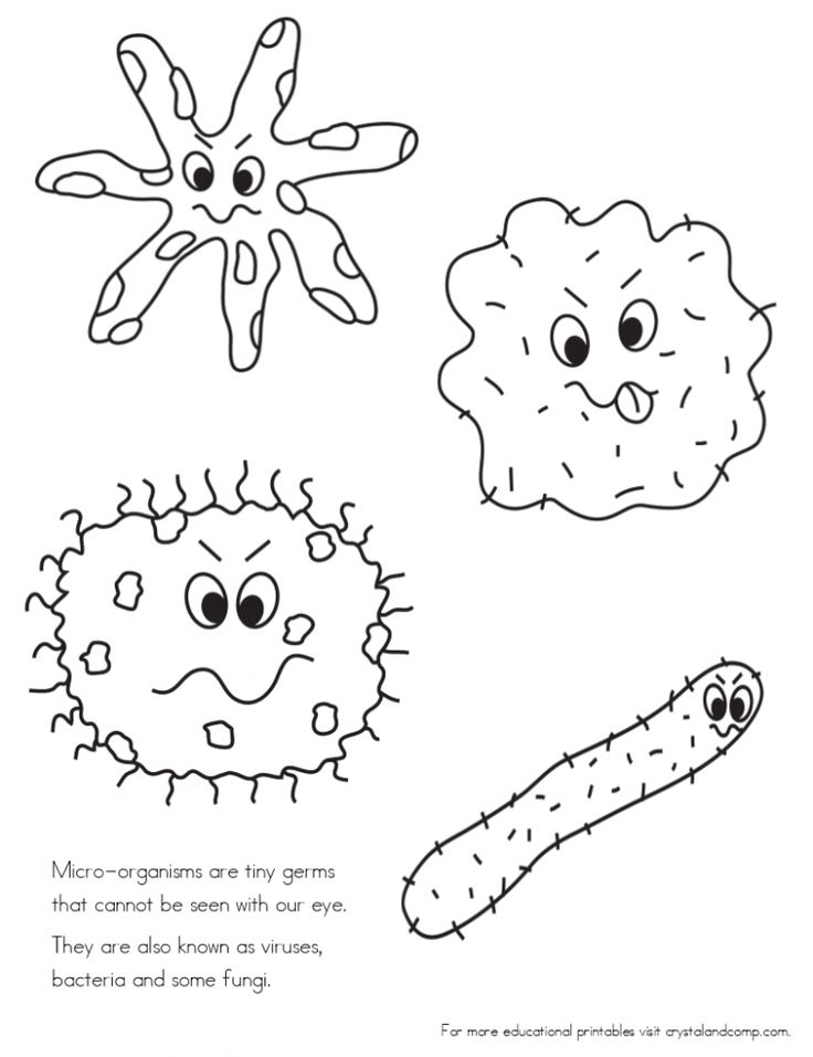 89  Bacteria Coloring Book for Learn