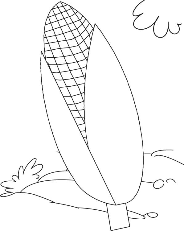 White corn coloring page | Download Free White corn coloring page ...