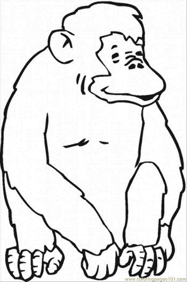 Orangutans Coloring Pages Ideas