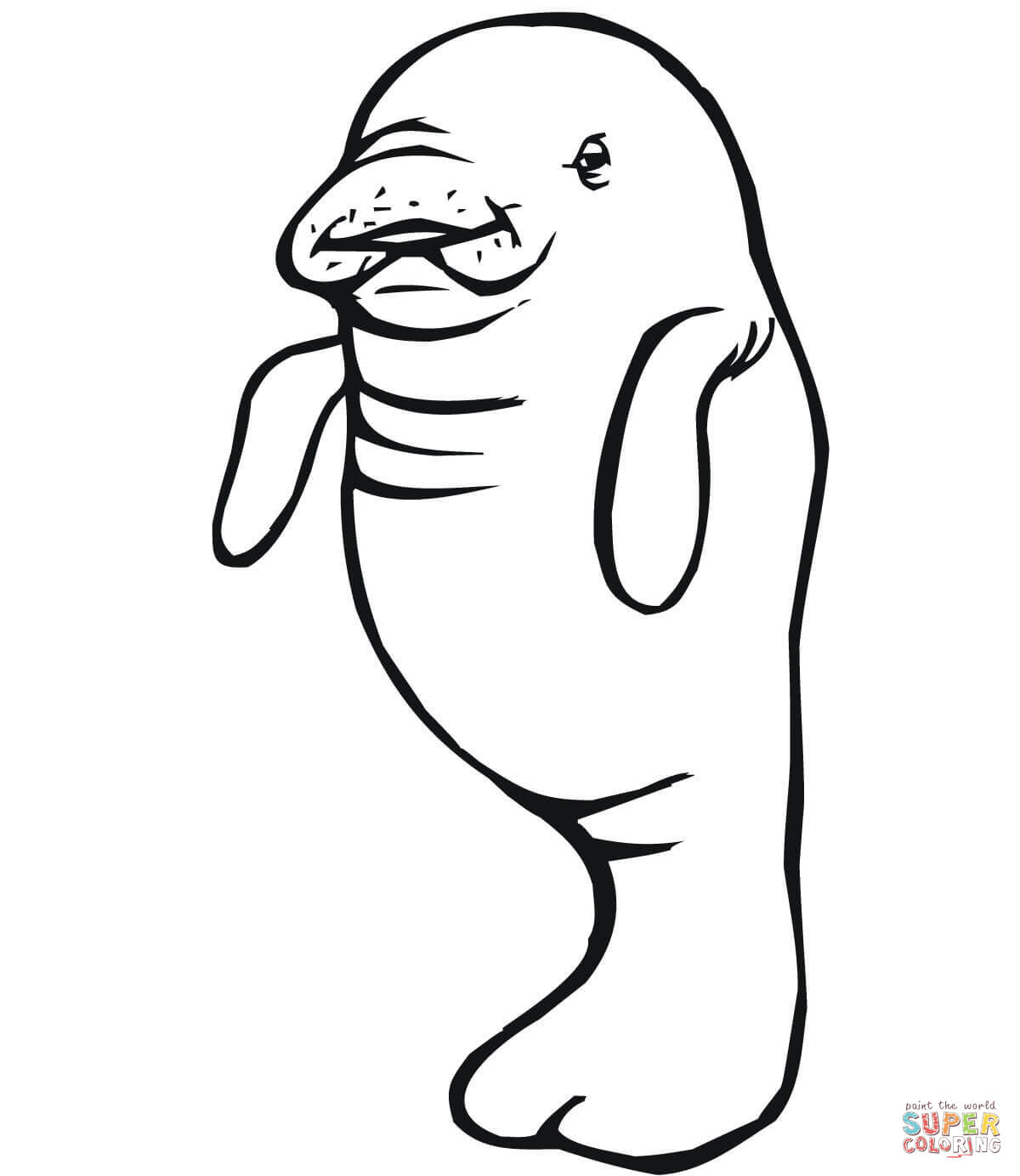 807 Simple Printable Coloring Pages Of Manatees 