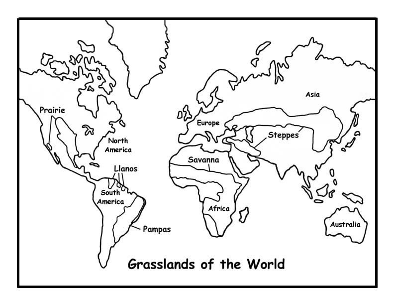 Grasslands of the World Coloring Pageexploringnature.org