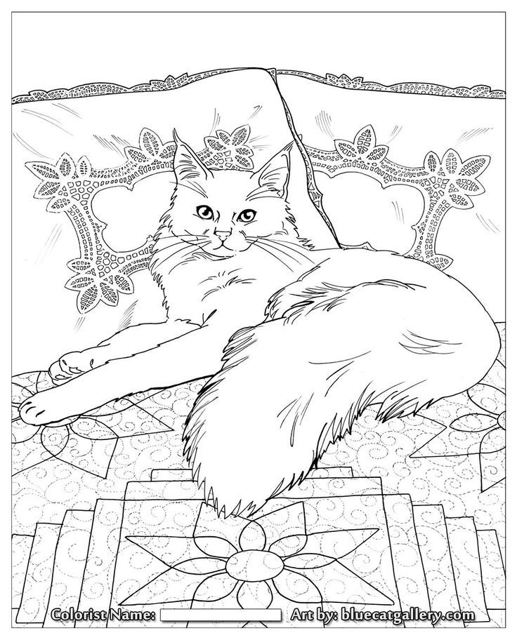 Cats to Color (all kinds of cats) | Coloring For ...