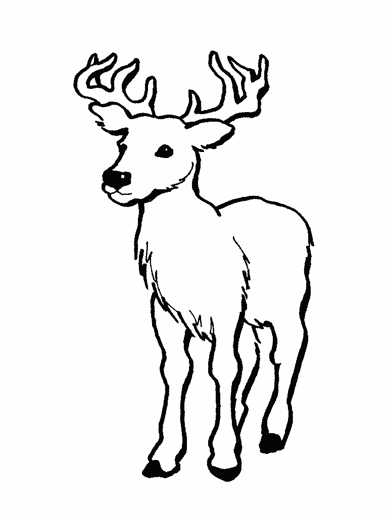 Printable Deer Coloring Pages - ClipArt Best