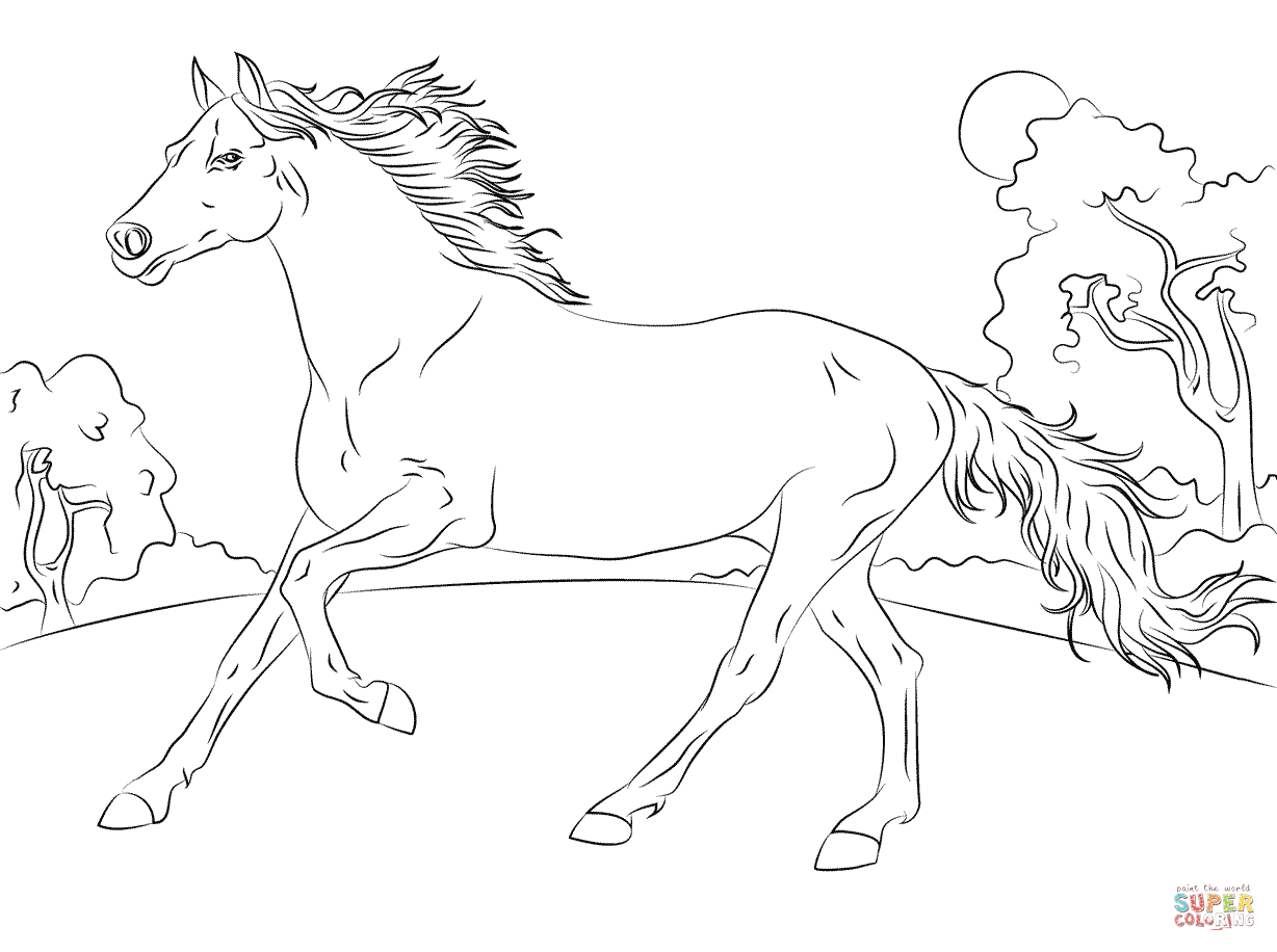 Beautiful Horses Coloring Pages For Adults - Coloring Pages For ...