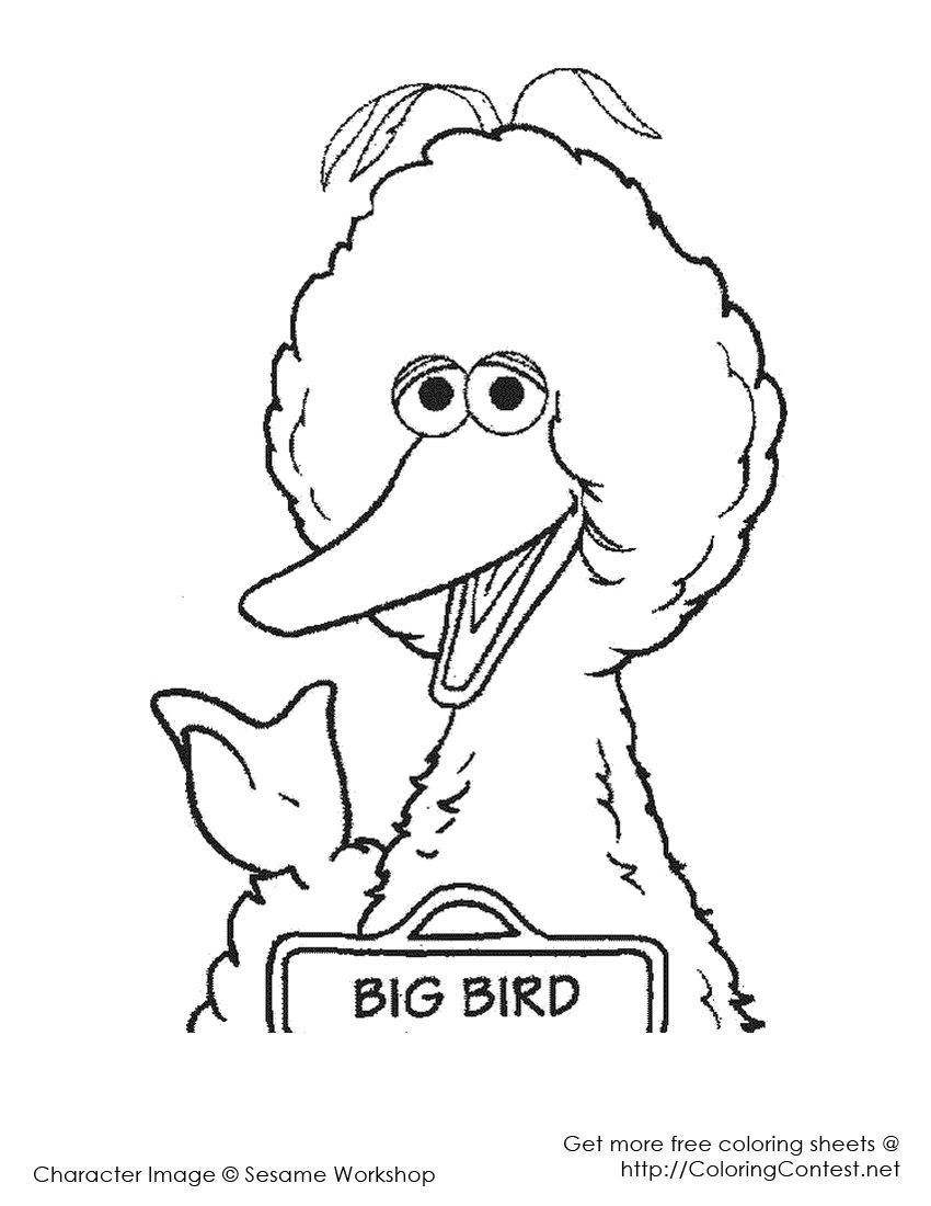 Free Bigbird Coloring Pages Creativity | ViolasGallery.