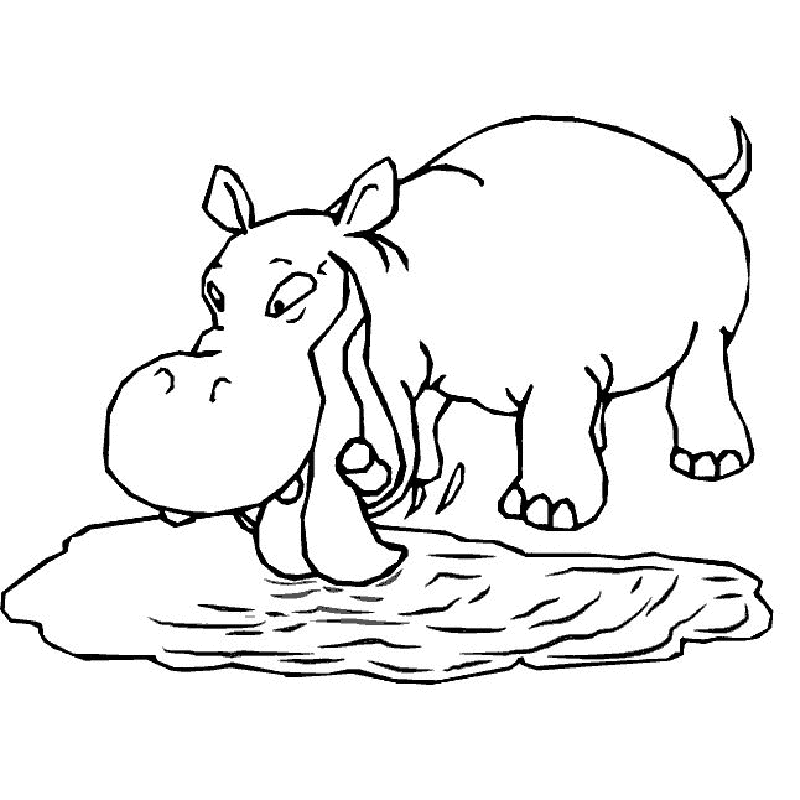 Hippo Coloring Pages 12 | Free Printable Coloring Pages 