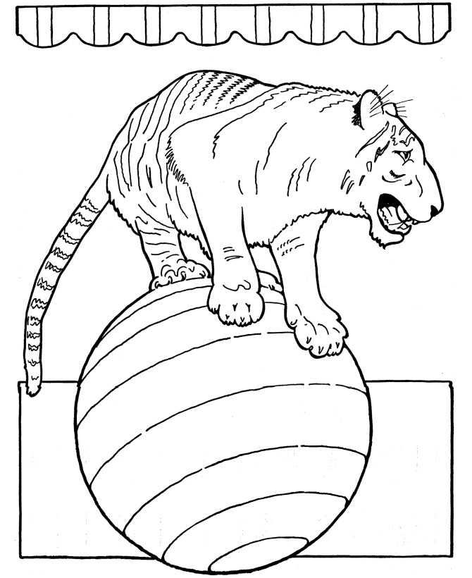 Circus Animals Coloring Pages 7 | Free Printable Coloring Pages