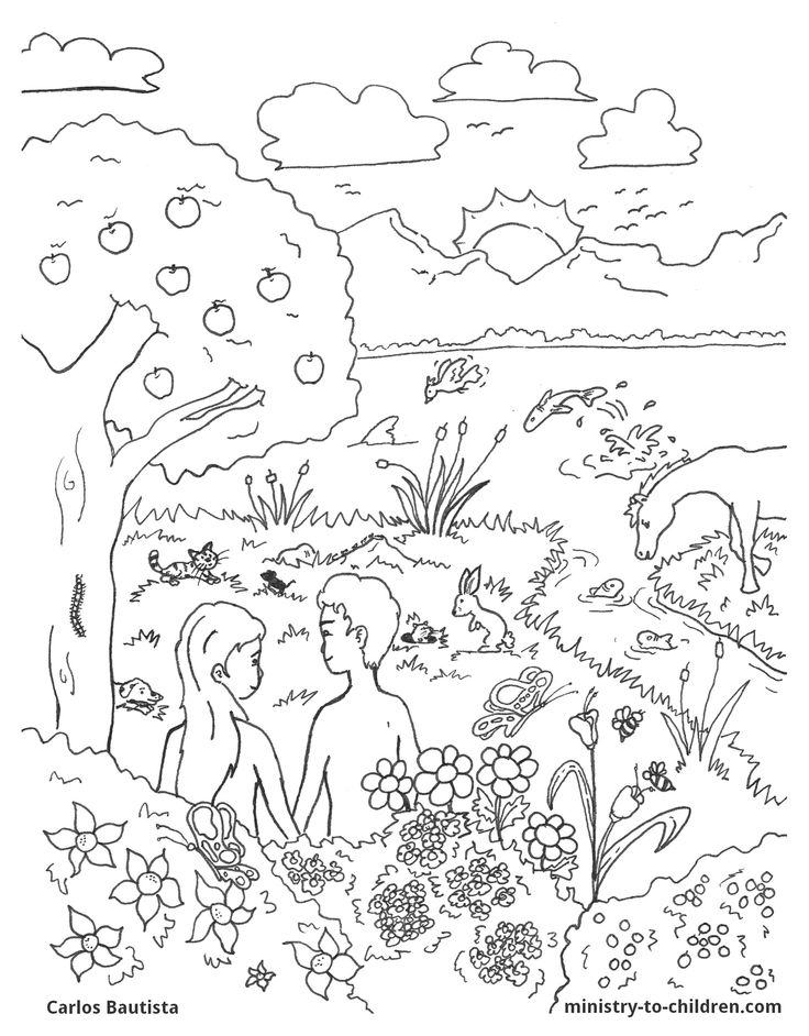 bible-creation-coloring-pages-165 | ~ Sunday School ~