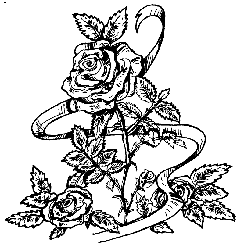 Free Rose Coloring Pages 510 | Free Printable Coloring Pages