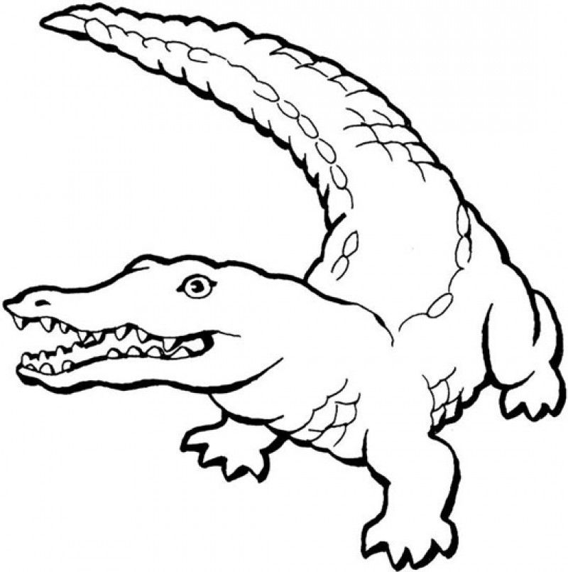 alligator-coloring-page-21uw0972 - HD Printable Coloring Pages