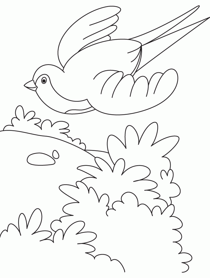 Birds In Sky Coloring Pages Coloring Home