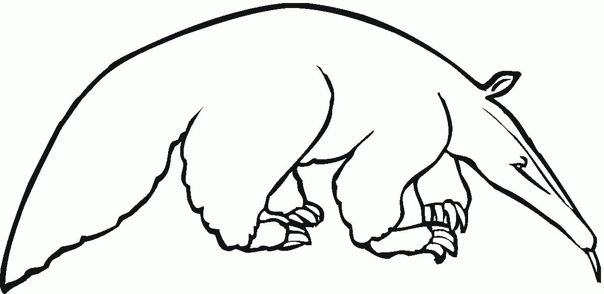 anteaters_ Colouring Pages (page 3)