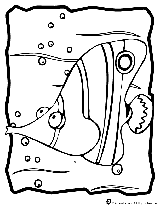 Printable Angel Fish Coloring Page Tattoo Home Pages