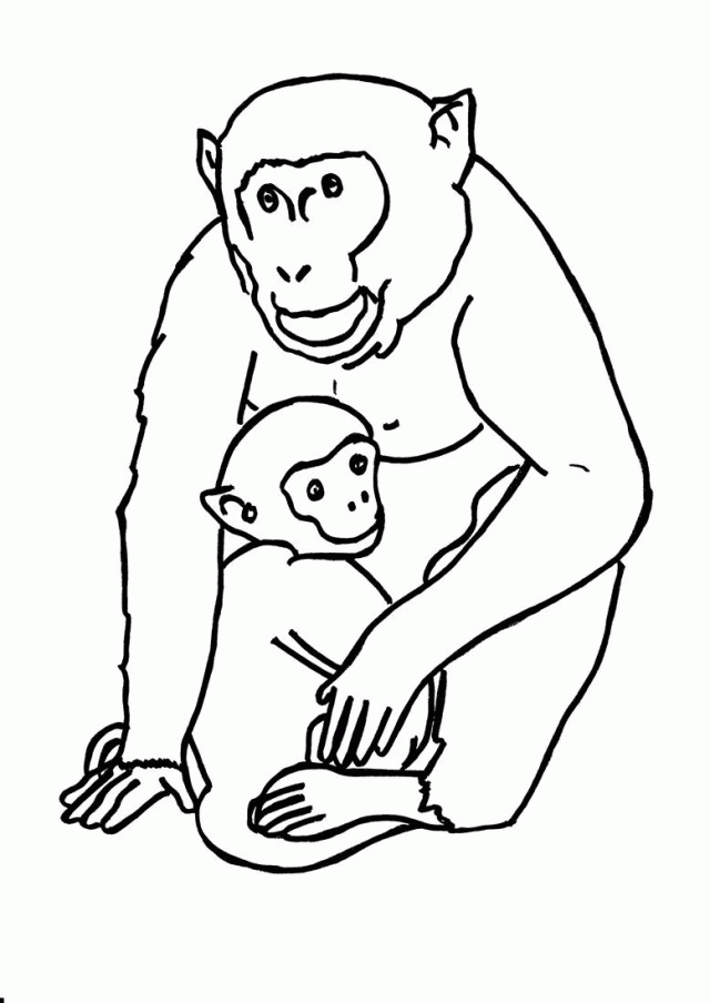 Gorilla Coloring Pages - Coloring Home