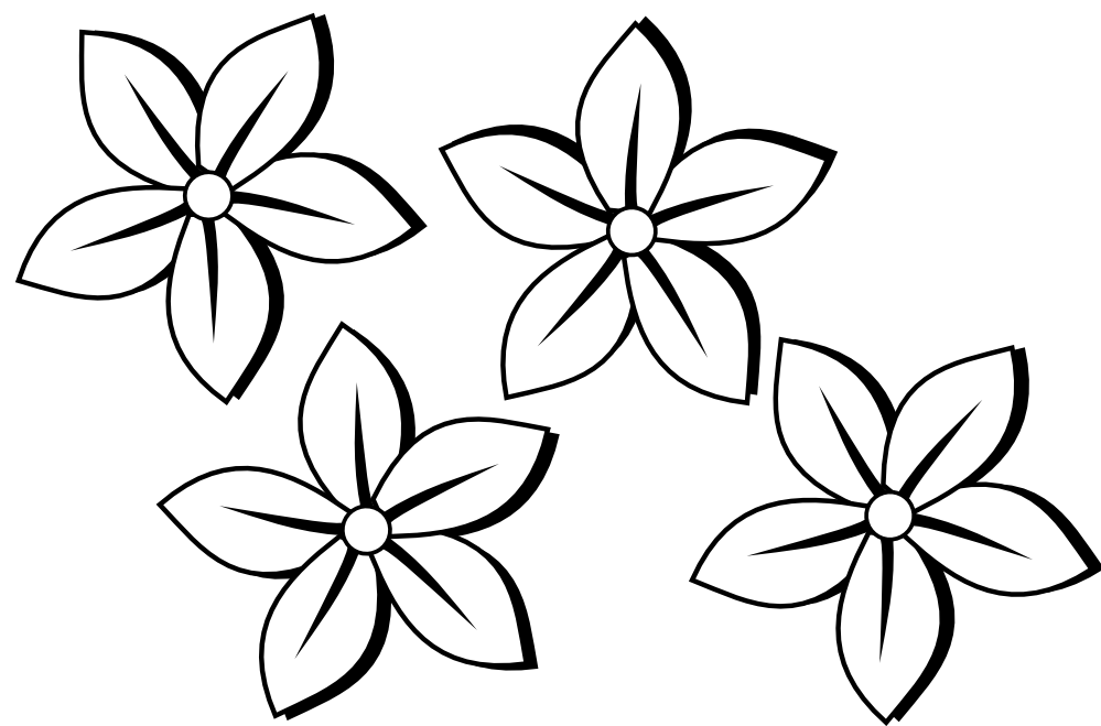 Simple Flower Drawings In Black And White Background 1 HD 