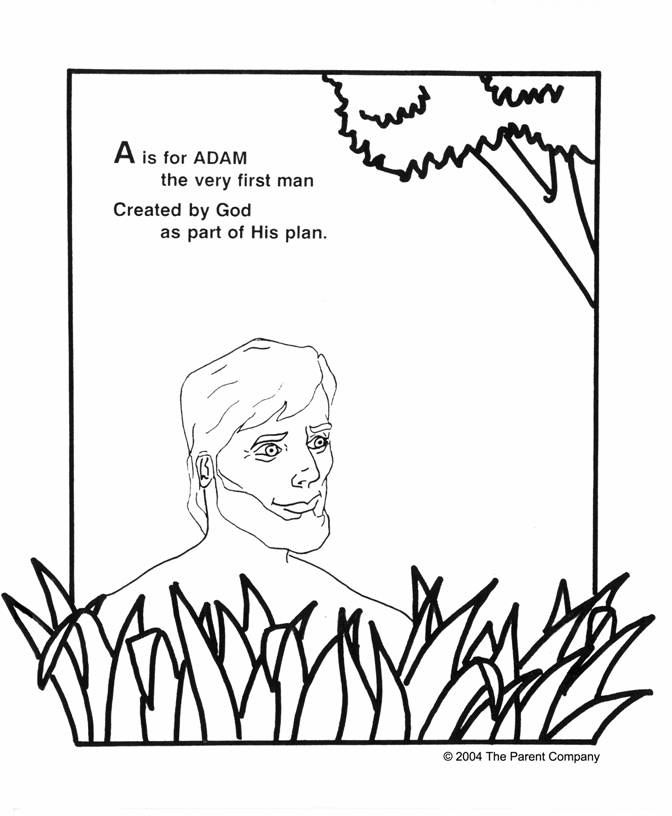 Creation Coloring Pages - Category