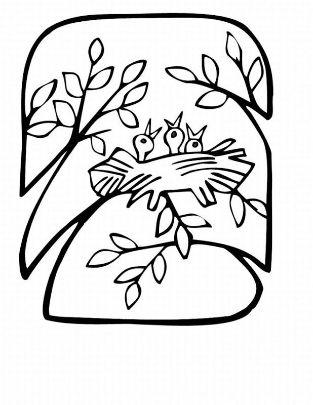 Coloring Pages For Spring And Summer