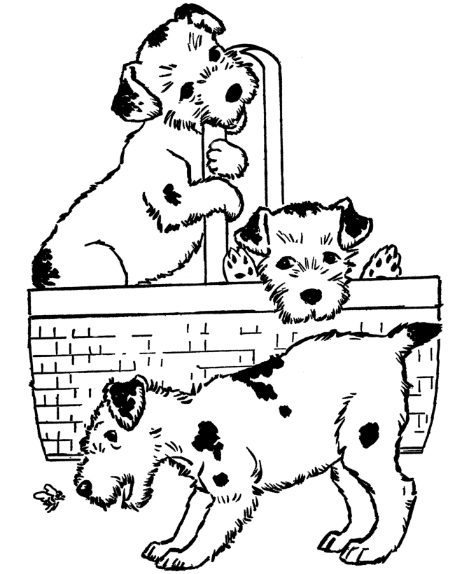 Dog Coloring Pages | Printable Puppies in a basket coloring page ...