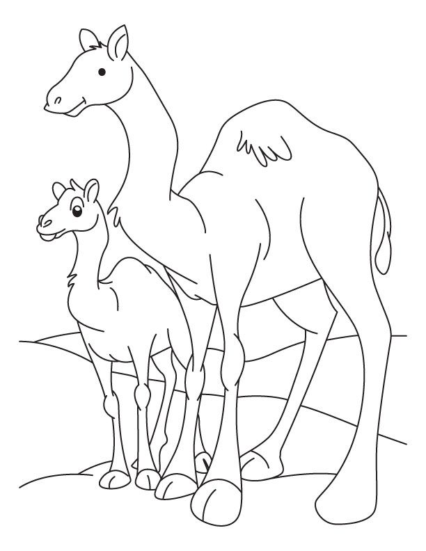 Camel and Baby Camel coloring page | Download Free Camel and Baby ...