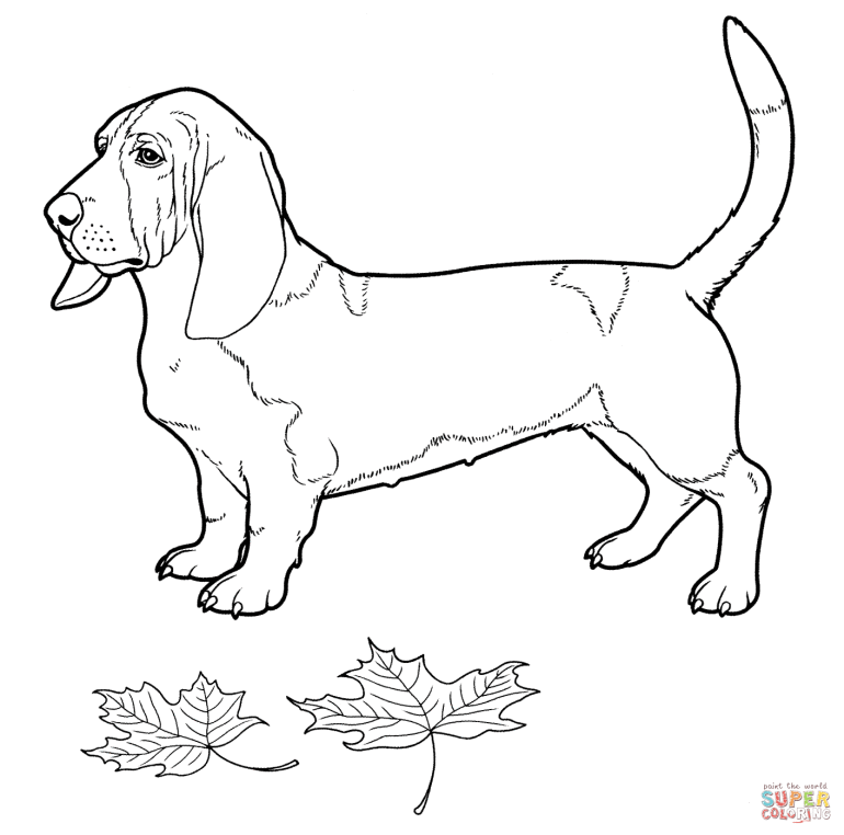 Basset Hound Dog Cartoon For Coloring Book — Stock Vector Â© Igor ...