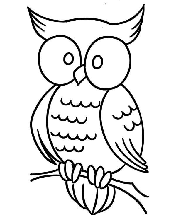 Large Coloring Pages - Coloring Home