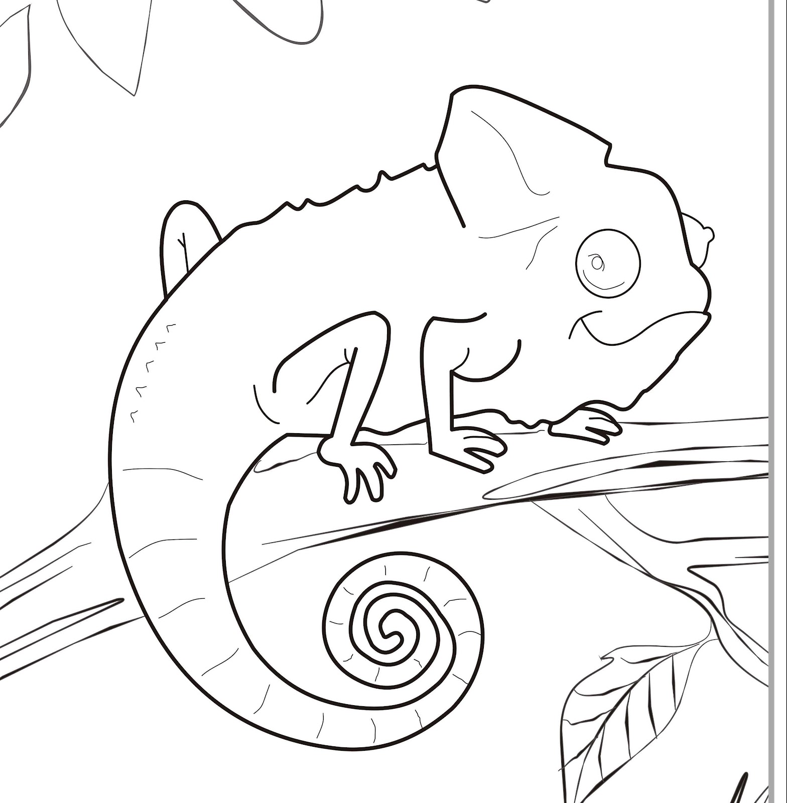mixed up chameleon coloring page  coloring home