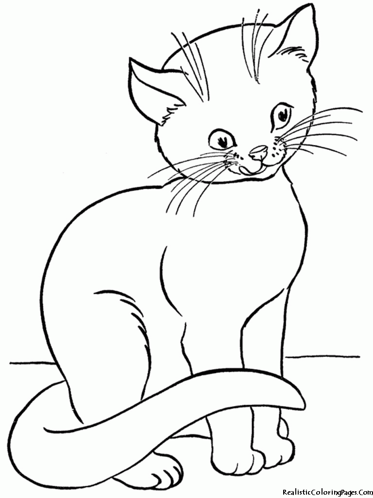 Kitten Cat Colouring In Pages : Cat Coloring Pages - They will also be