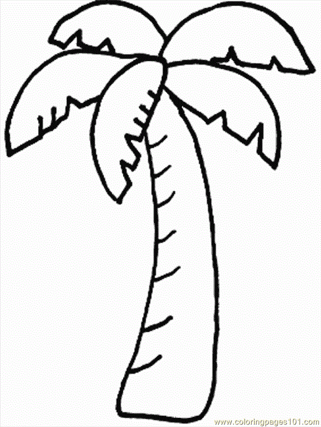 Coconut Tree - Coloring Pages for Kids and for Adults