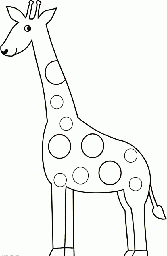 Best Photos Of Giraffe Template For Preschool Giraffe Coloring