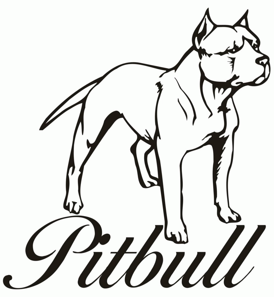 Step Pitbull Coloring Pages To Download And Print For Free - Widetheme
