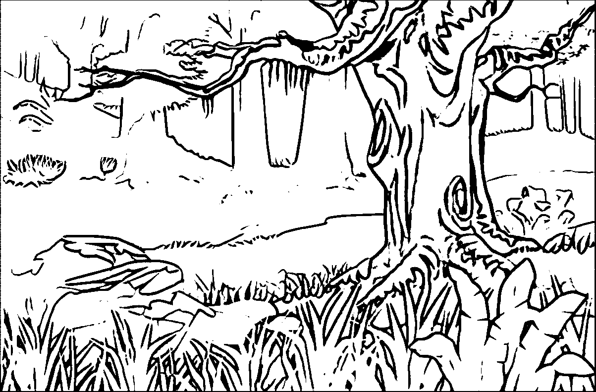 Coloring Pages Of Forest - Coloring Home