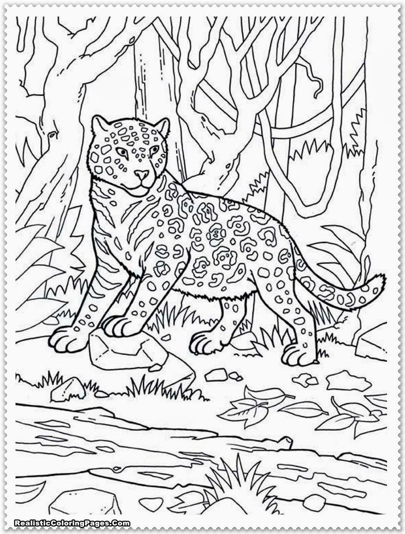 Free Printable Jungle Animals Coloring Sheets