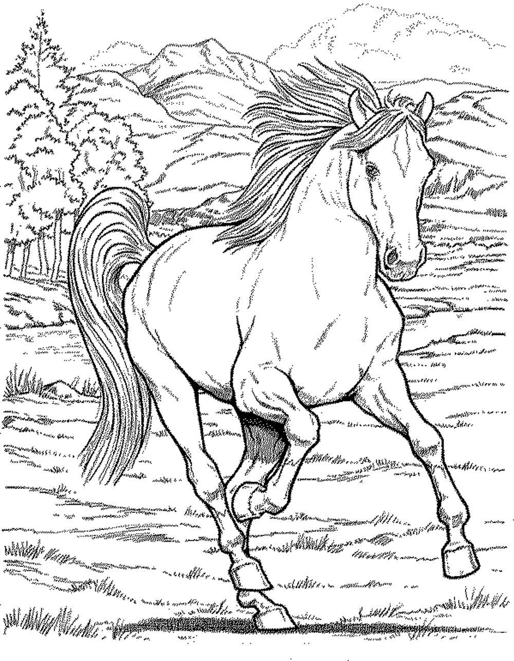 horse coloring pages for kids - Printable Kids Colouring Pages