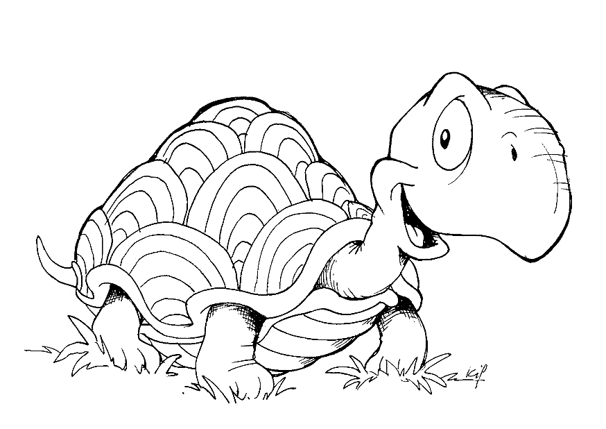 Desert Tortoise coloring page - Animals Town - animals color sheet 