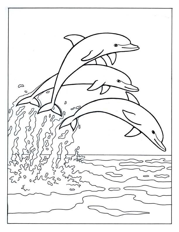 coloring-pages-for-adults-dolphins-3.jpg
