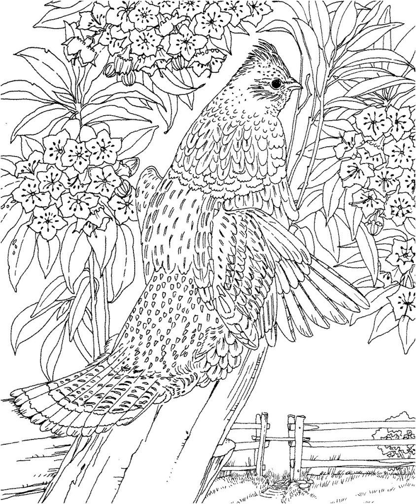Landscape Coloring Pages For Adults Printable Coloring Pages ...
