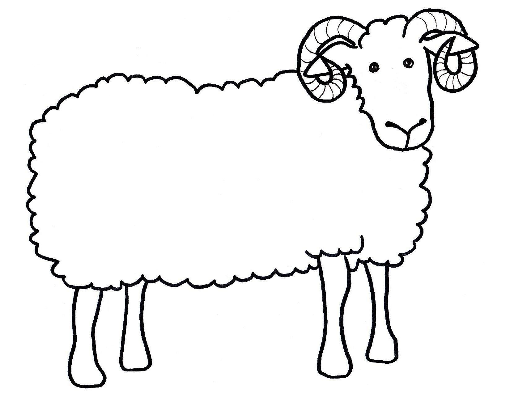 Sheep Outline Coloring Page Coloring Home
