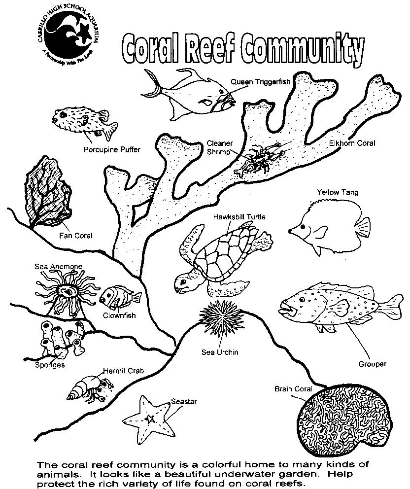 coral-reef-coloring-page-coloring-home