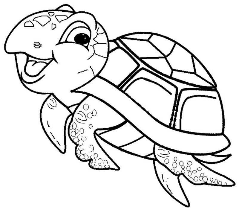 yertle the turtle coloring pages - photo #17